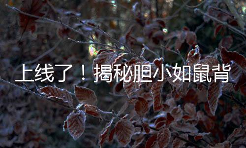 上线了!揭秘胆小如鼠背后的心理学奥秘